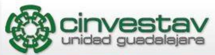 cinvestav