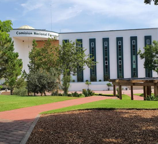 portfolio-image